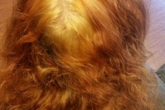 Corrective Color Before
